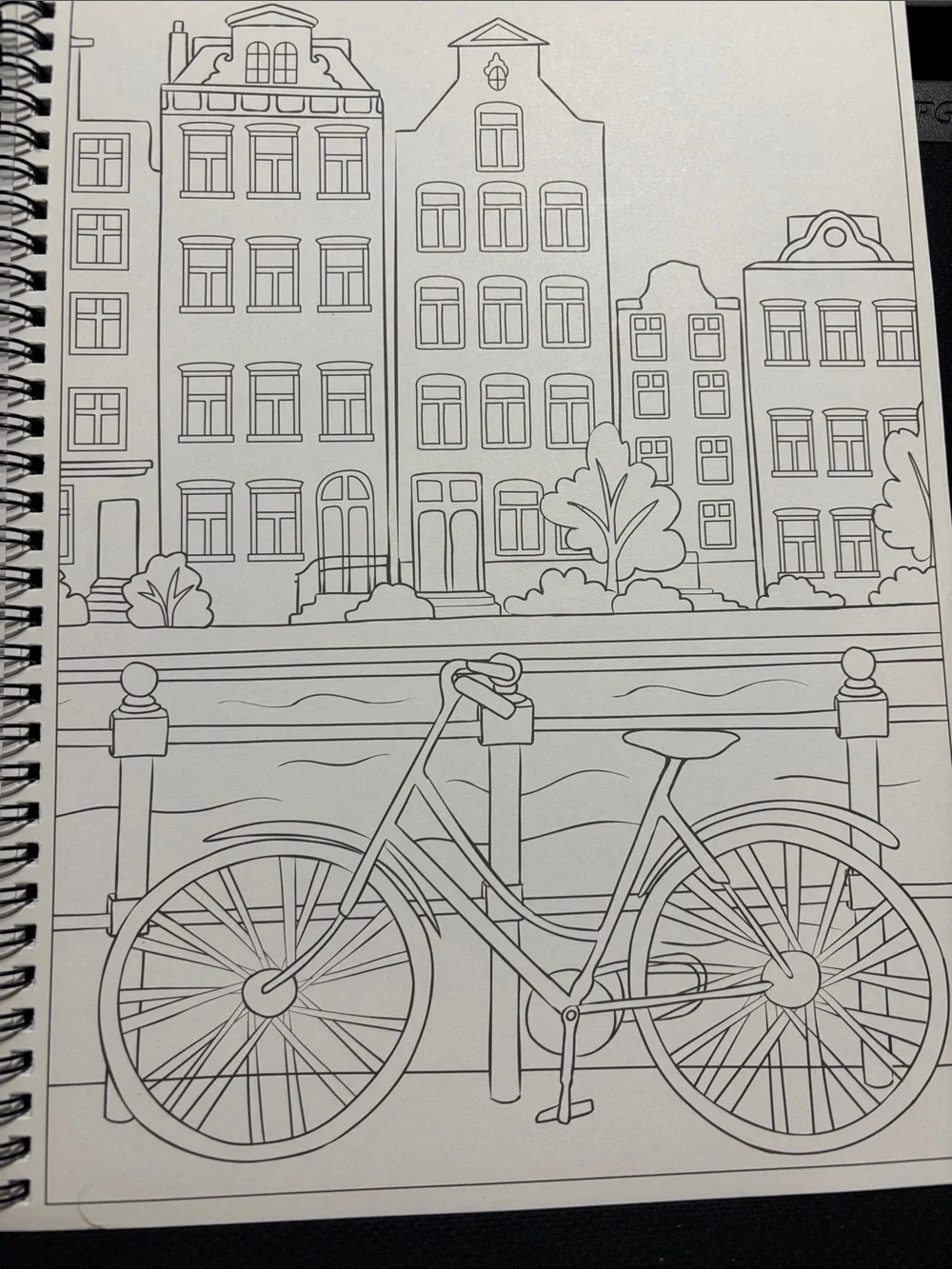 Adult coloring book